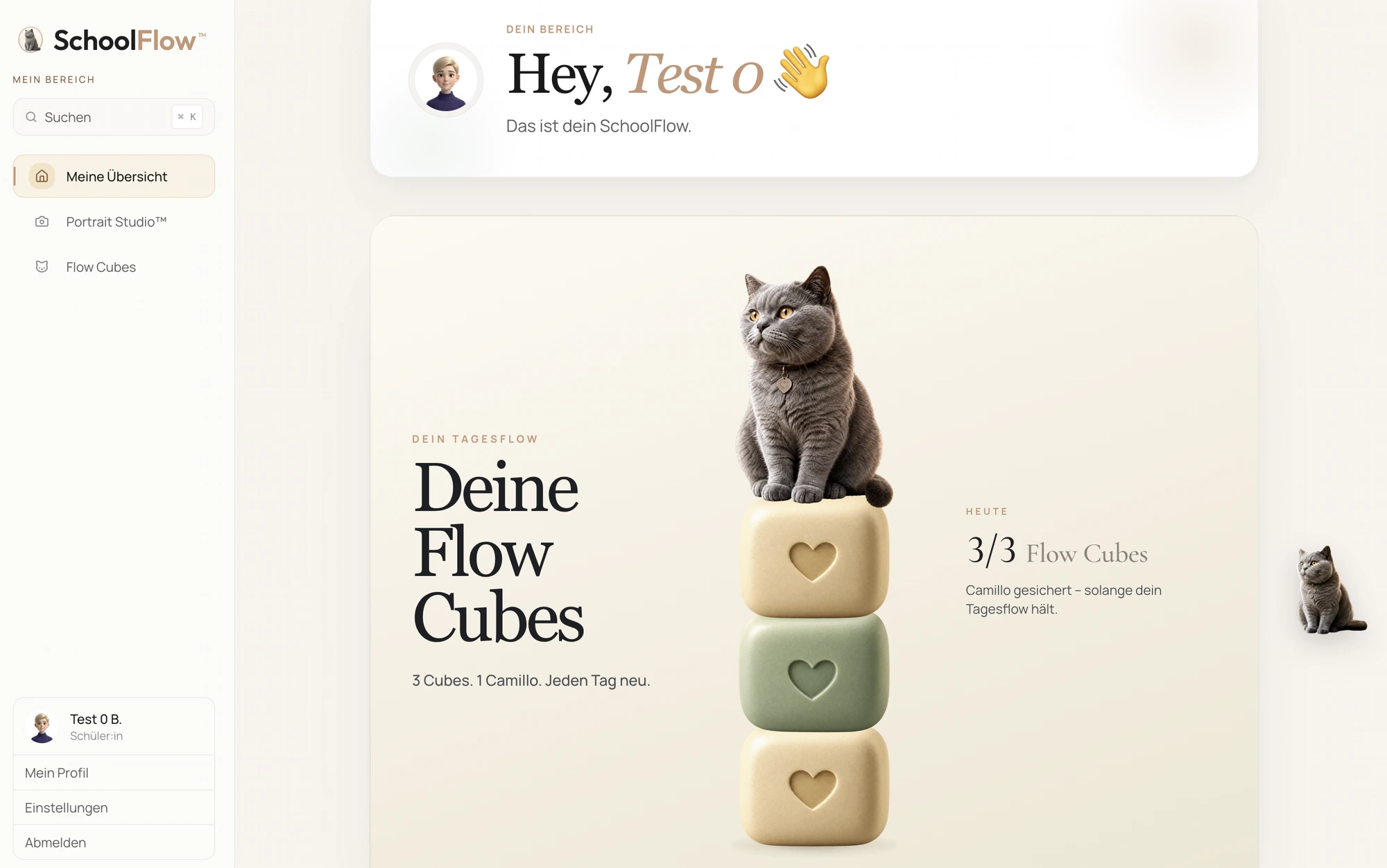 Schüleransicht mit Flow Cubes und Camillo