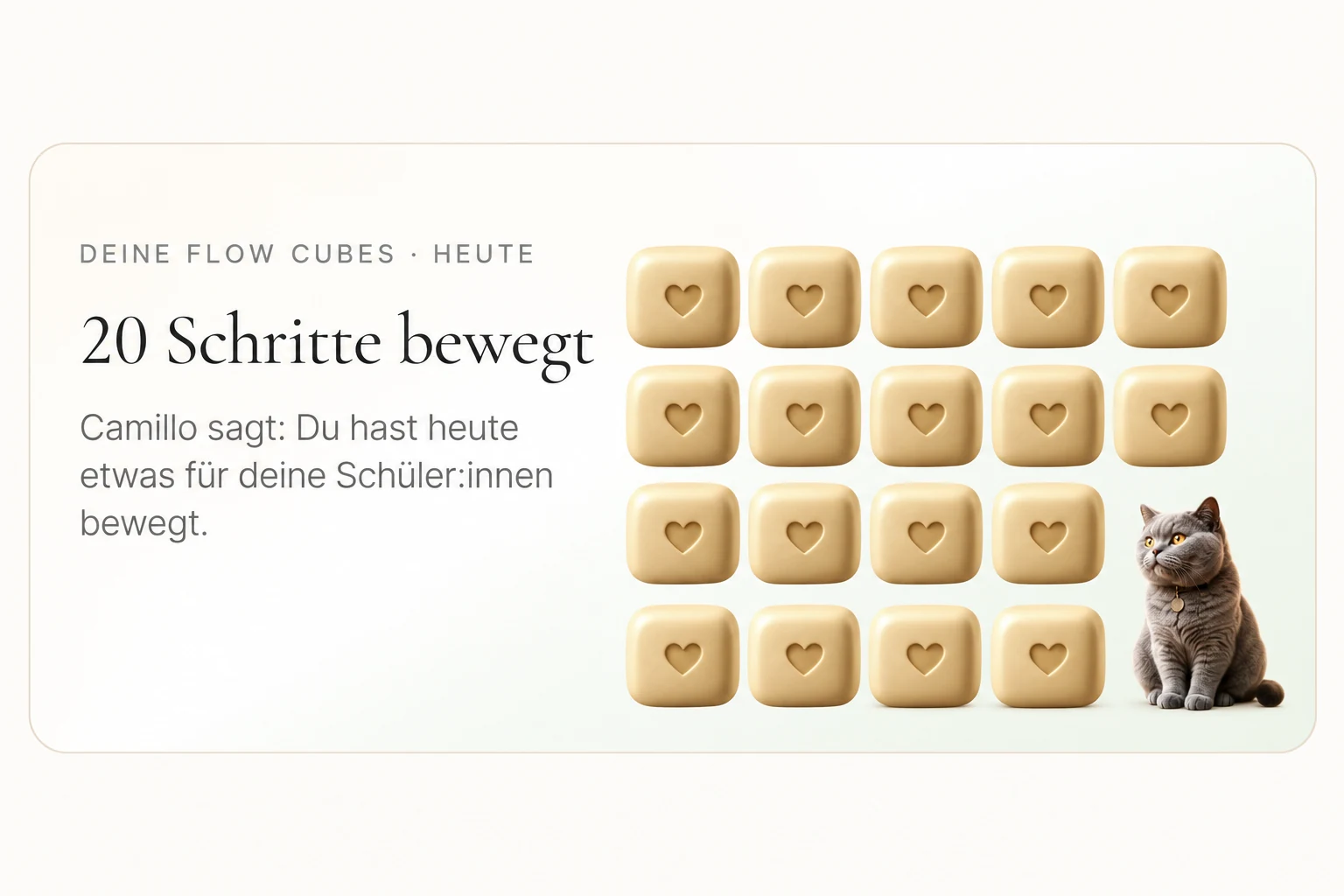 SchoolFlow: Goldene Flow Cubes und Camillo in einer Tagesübersicht.